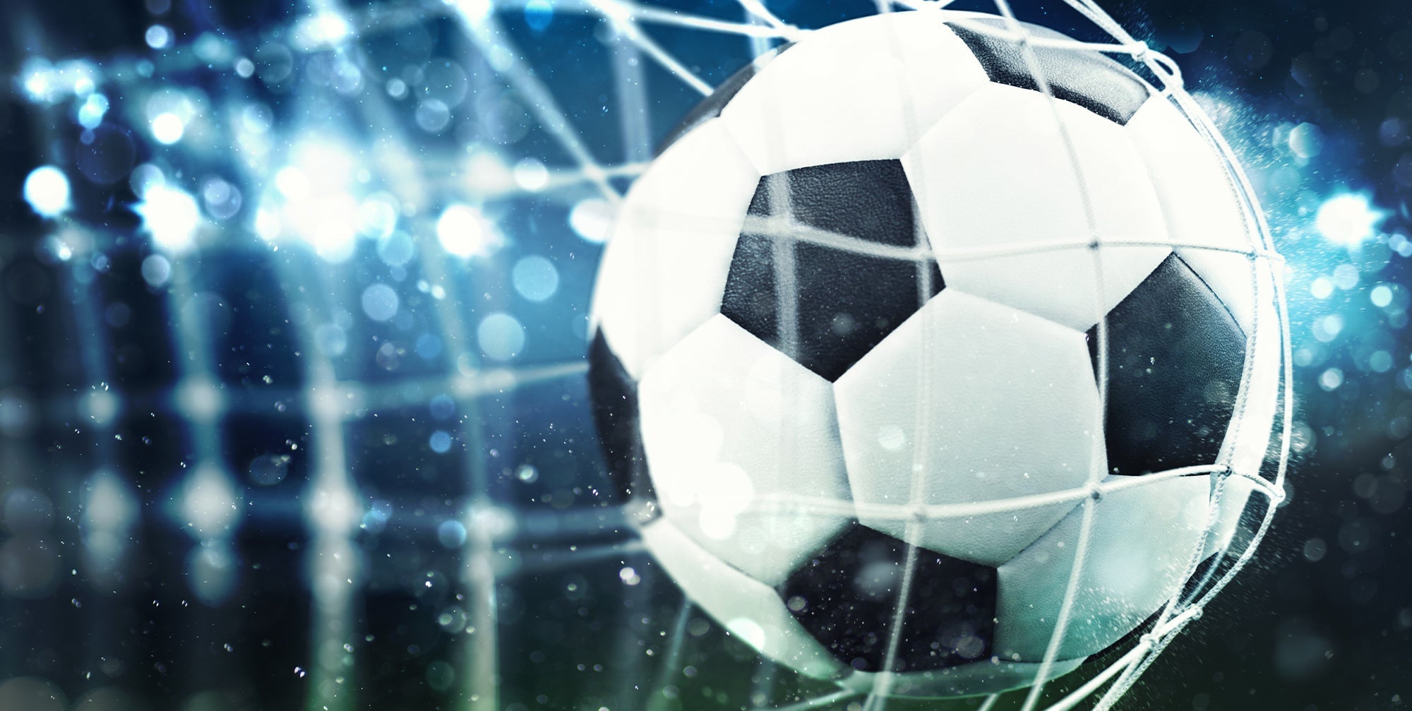 soccer ball in net
