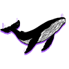 Falling Whale Games